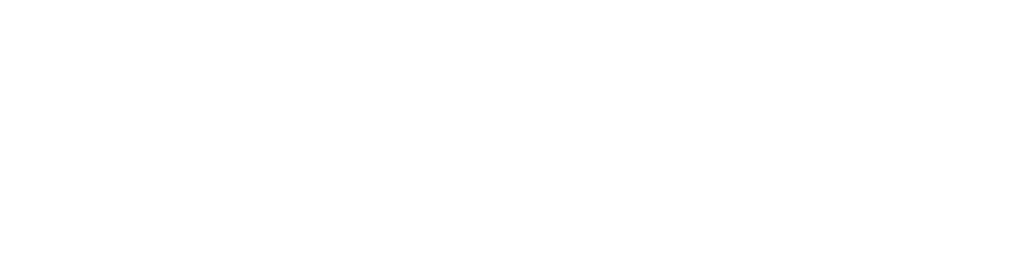 Autohaus Nord Logo